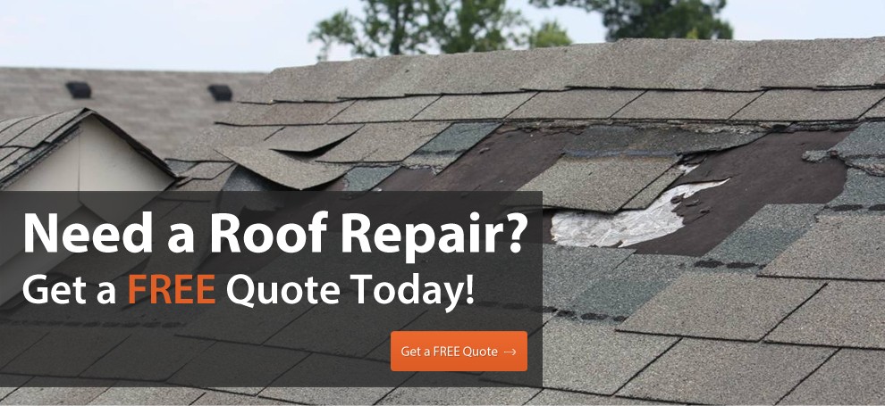 Heritage Roofing New Jersey (1,403) 5.0 ⭐⭐⭐⭐⭐ Reviews Logo